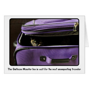 Schildpatt-Katzen-Koffer-Monster