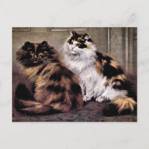 Schildpatt-Perserkatzen-Kunst Postkarte