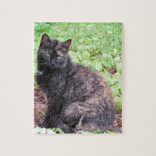Schildpatt-schwarze Katzen-Garten Puzzle