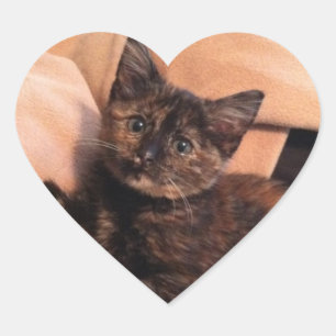 Schildpatt, Tortie, Tortie Kätzchen, Kätzchen, Herz-Aufkleber
