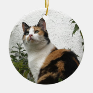 Schildpatt und weiße Katze Keramikornament