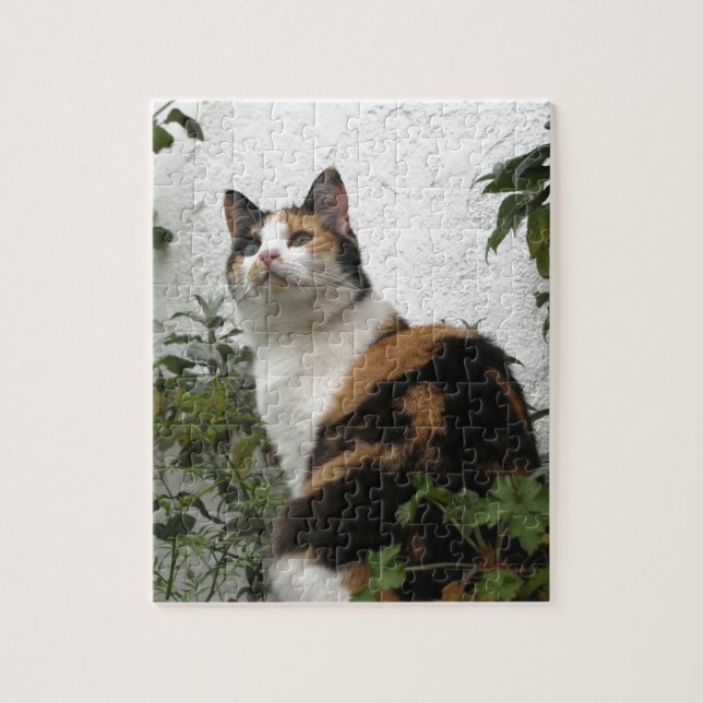 Schildpatt und weiße Katze Puzzle (Vertikal)