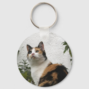 Schildpatt und weiße Katze Schlüsselanhänger