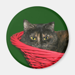 Schildpatt-Weihnachten Magnet