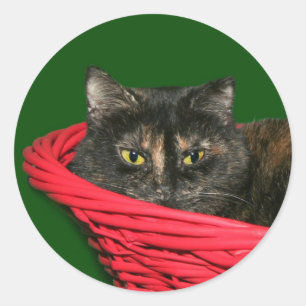 Schildpatt-Weihnachten Runder Aufkleber