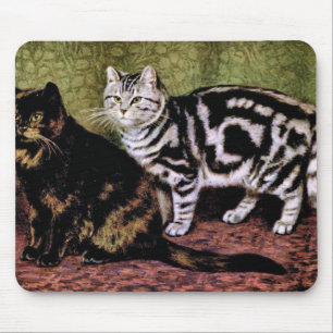 Schildpattund Silbertabby-Katzen Mousepad