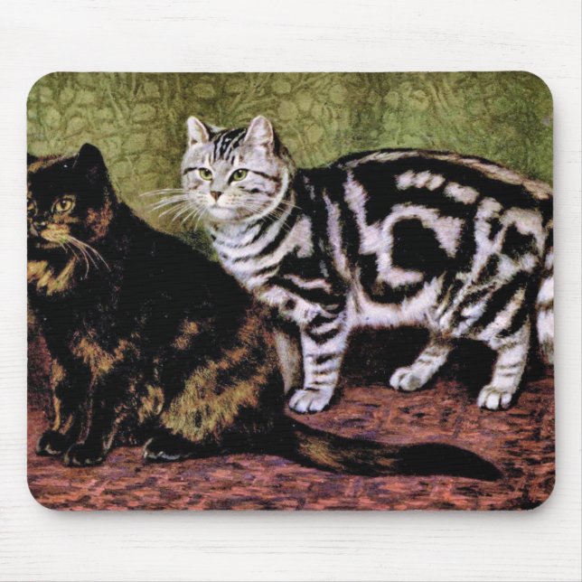 Schildpattund Silbertabby-Katzen Mousepad (Vorne)