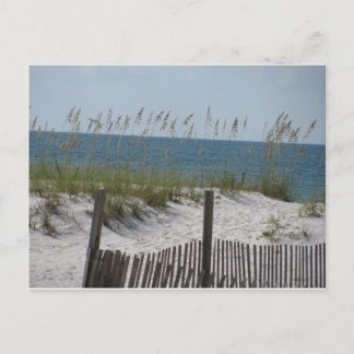 Schilf am Strand Postkarte