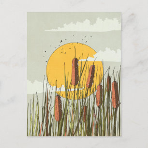 Schilf im Sonnenuntergang Postkarte