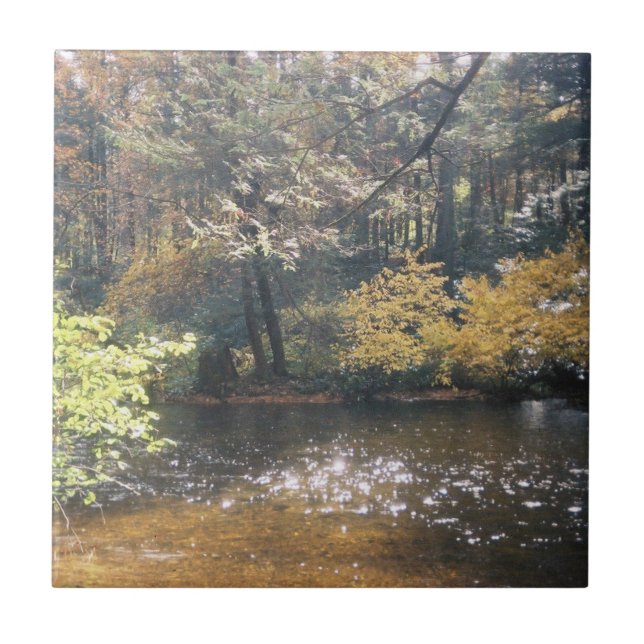 Schimmer Fliese (Vorderseite)