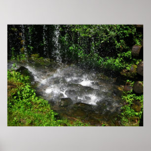 Schimmernde Gewässer Poster