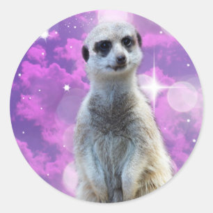 Schimmernder Charme: Meerkat auf rosa Bokeh Hinter Runder Aufkleber