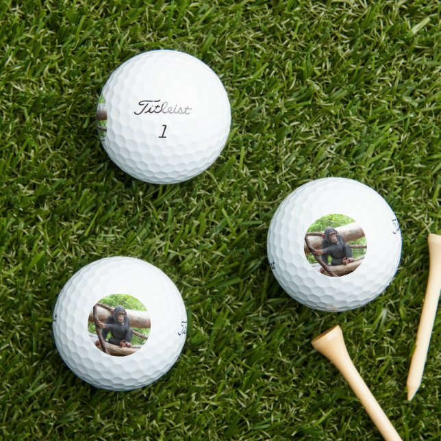 Schimpanse 001 golfball (Insitu Gras)