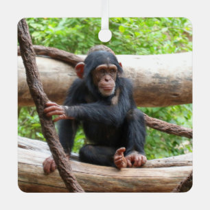 Schimpanse 001 ornament aus metall
