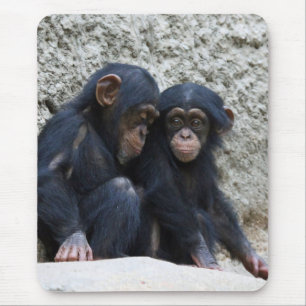 Schimpanse 002 mousepad