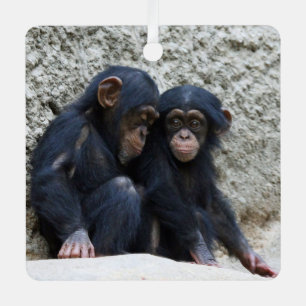 Schimpanse 002 ornament aus metall