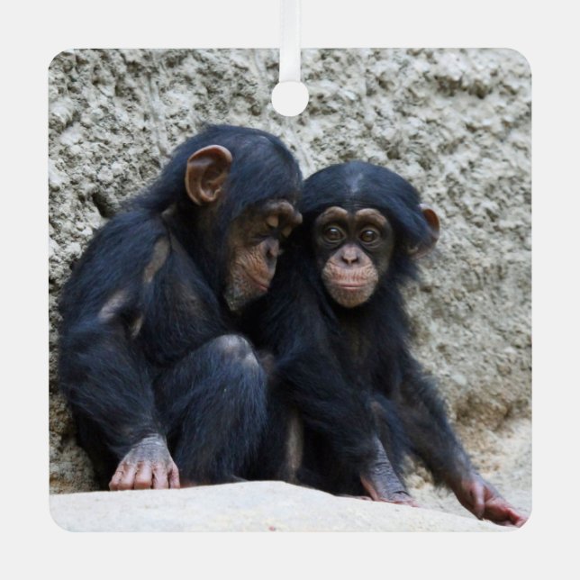 Schimpanse 002 ornament aus metall (Vorderseite)