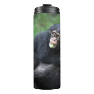 Schimpanse 032 thermosbecher