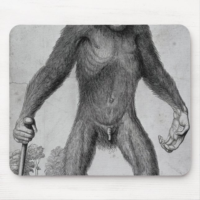 Schimpanse, 1699 mousepad (Vorne)