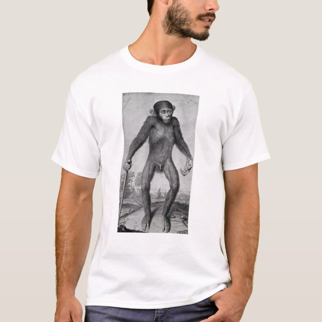 Schimpanse, 1699 T-Shirt (Vorderseite)