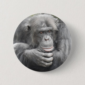 Schimpanse Button