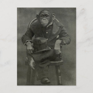"Schimpanse Dandy" Postkarte
