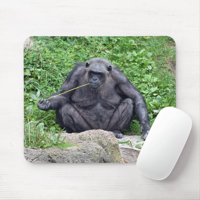 Schimpanse frisst Gras Mousepad (Mit Mouse)