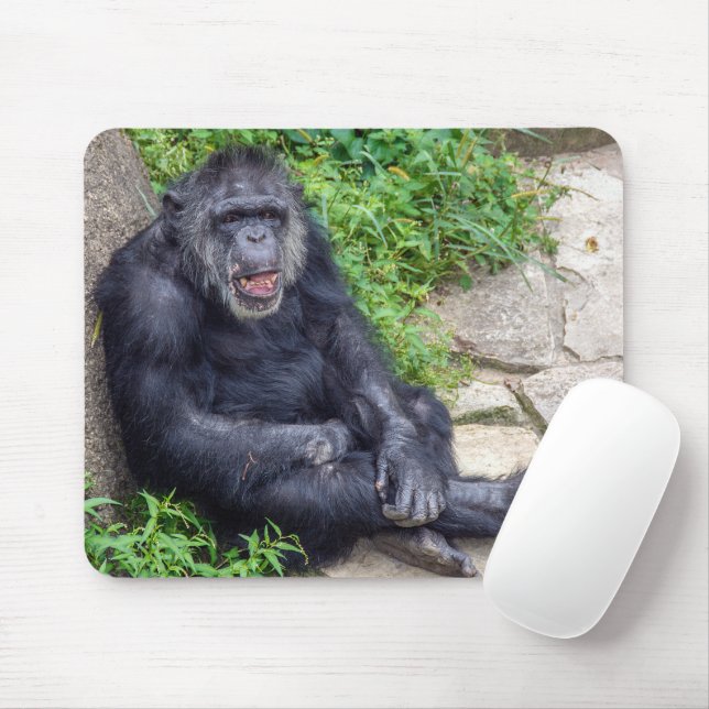 Schimpanse lehnt sich auf Felsen Mousepad (Mit Mouse)