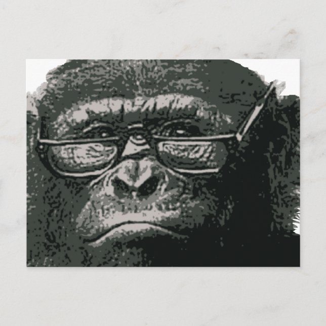 Schimpanse liest postkarte (Vorderseite)