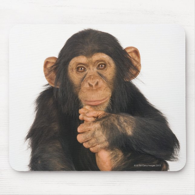 Schimpanse (Pantroglodytes). Young spielerisch Mousepad (Vorne)