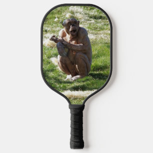 SCHIMPANSE PICKLEBALL SCHLÄGER