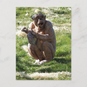 SCHIMPANSE POSTKARTE
