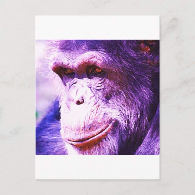 Schimpanse Postkarte (Vorderseite)