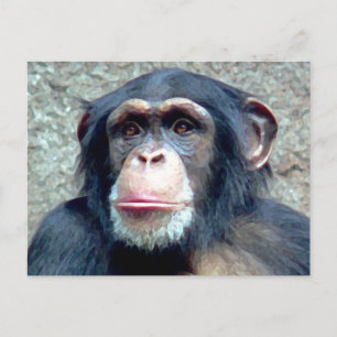 Schimpanse Postkarte