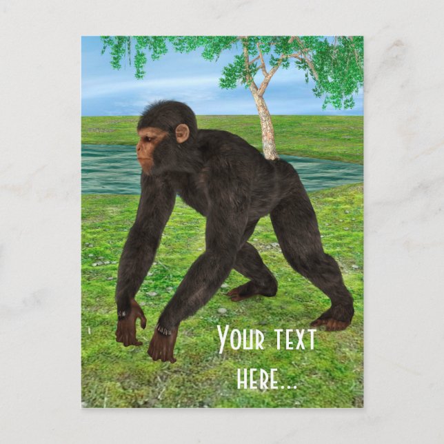 Schimpanse Postkarte (Vorderseite)