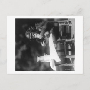 Schimpanse sitzt am Tisch im Nationalpark Postkarte