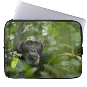 Schimpanse versteckt in der Vegetation Laptopschutzhülle