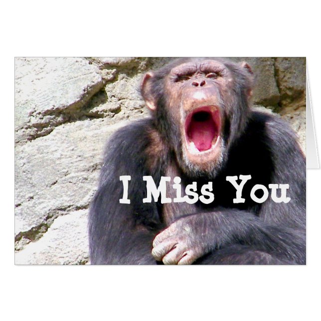 Schimpanzee_ (Vorderseite (Horizontal))