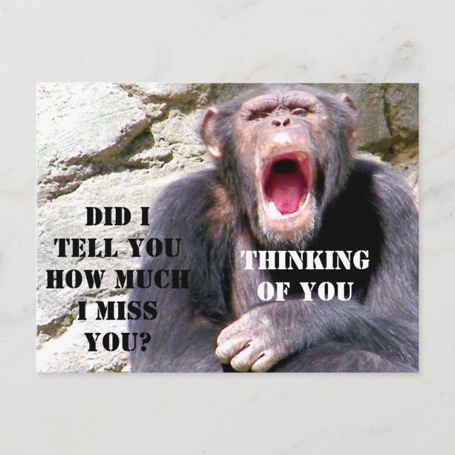 Schimpanzee_ Postkarte (Vorderseite)