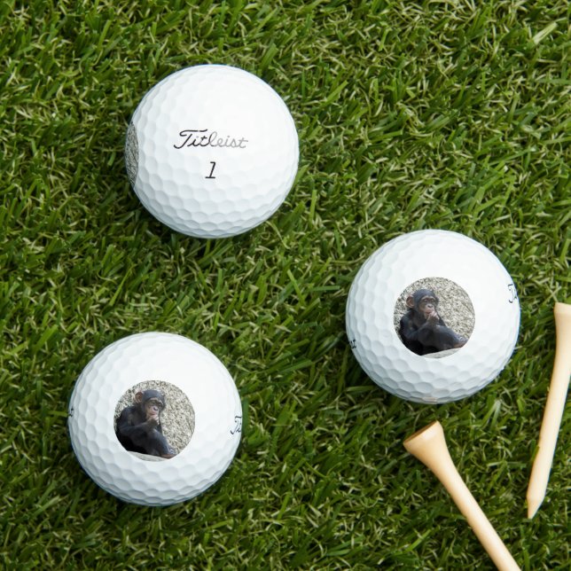 Schimppanzee 013 golfball (Insitu Gras)