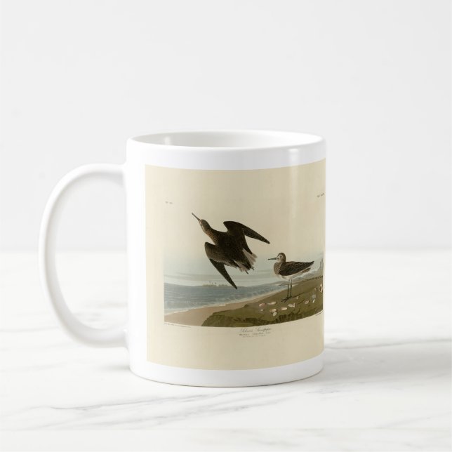 Schinzs Sandpiper von Audubons Vögeln Amerikas Kaffeetasse (Links)