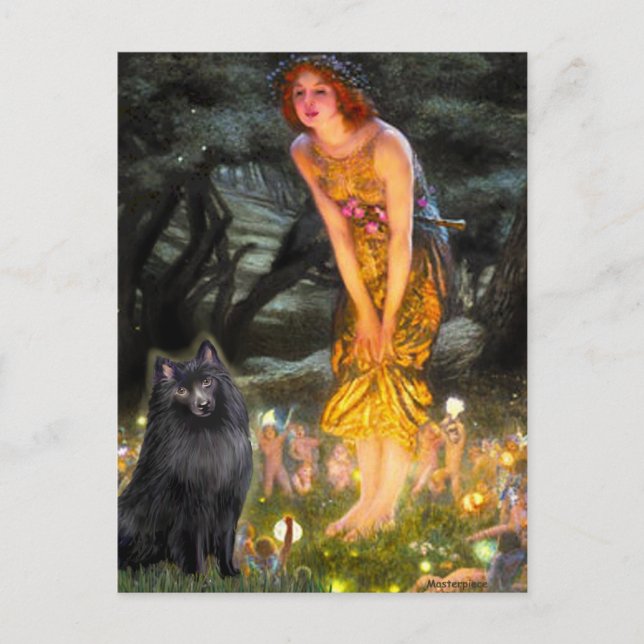 Schipperke 2 - Mittsommer Postkarte (Vorderseite)