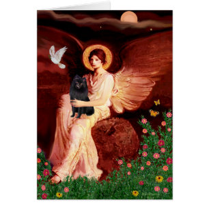 Schipperke 2 - sitzender Engel