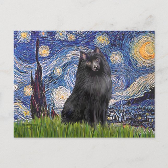 Schipperke 2 - Sternennacht Postkarte (Vorderseite)