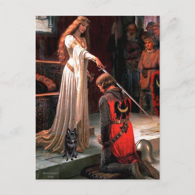 Schipperke 4 - Die Akkolade Postkarte (Vorderseite)