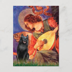 Schipperke 5 - Mandolinenengel Postkarte