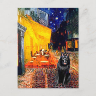 Schipperke 7 - Terrassen-Café Postkarte