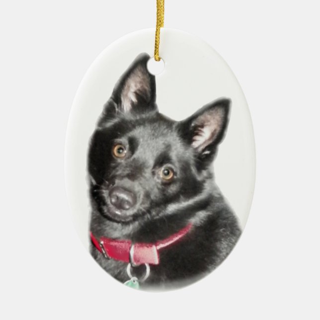 Schipperke-Bild Keramikornament (Vorne)