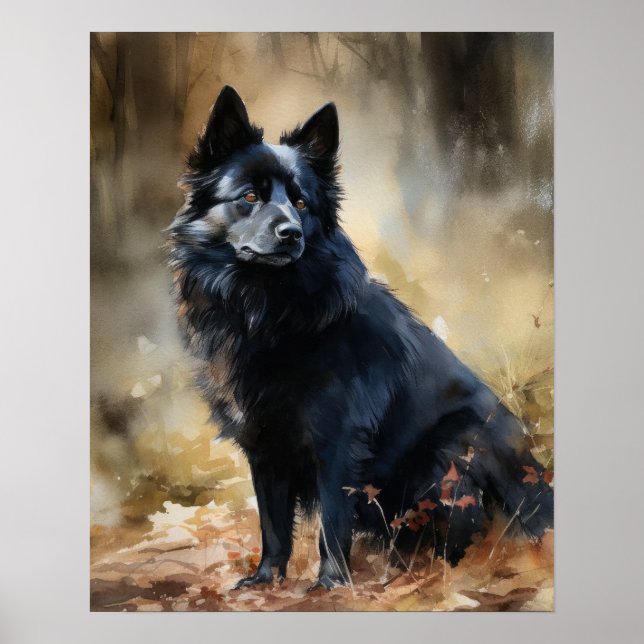 Schipperke Dog Art Print Poster (Vorne)