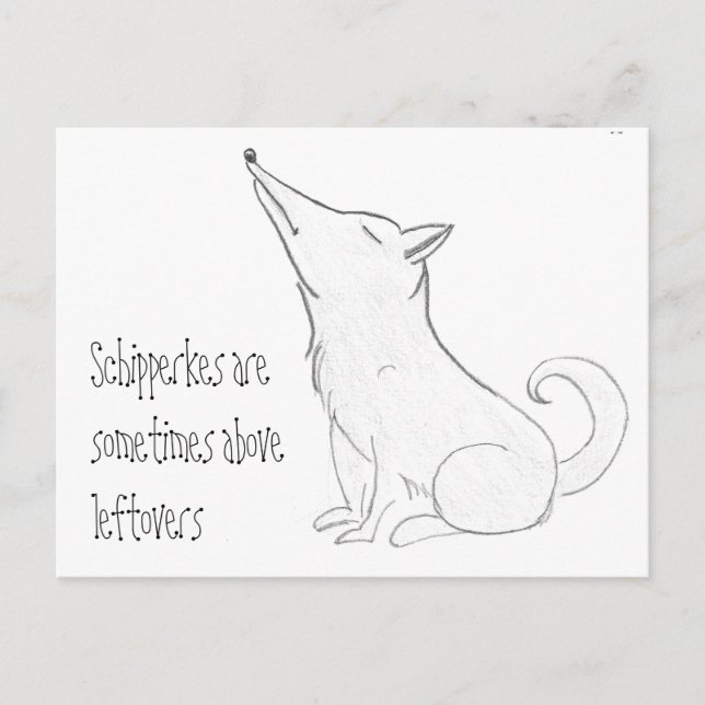 Schipperke Dog Cartoon Postkarte (Vorderseite)